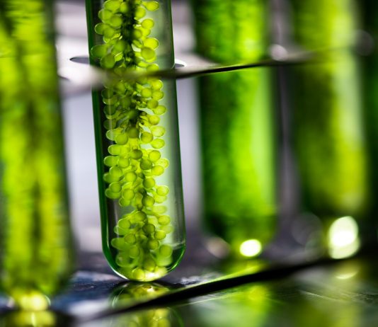 Biotech: Top 5 Emerging Trends for the Next Decade