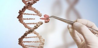 The Ancient Medicine that Could Help Transform the Biotech Sector