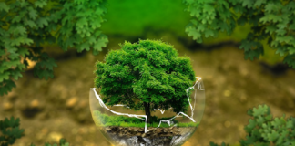 What to Know About ESG Investing in 2023