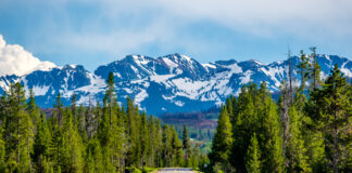 The Next Big Player As Money Piles into Generative AI