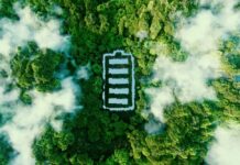 How AI Could Be the Answer to A Climate Apocalypse