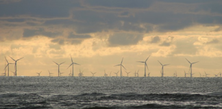 Could 2024 be a Pivotal Year for Solar and Wind Power?