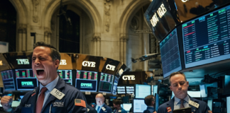 Bulls on the Loose: Will This Post-Election Rally Keep Charging?